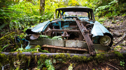Selling Your Car to a Removal Service: Getting the Best Value for Your Vehicle